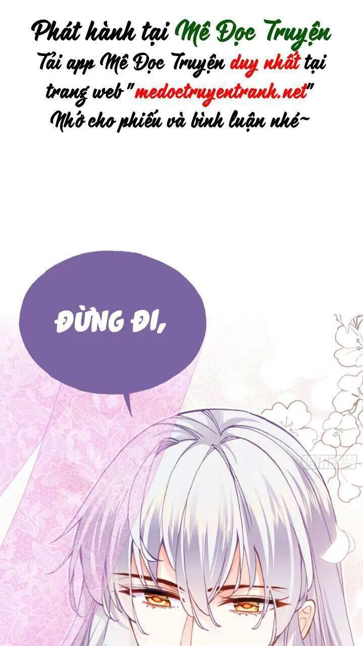 Lại Bị Bệnh Chiều Chuộng Quấn Lấy Chapter 27 - Trang 2