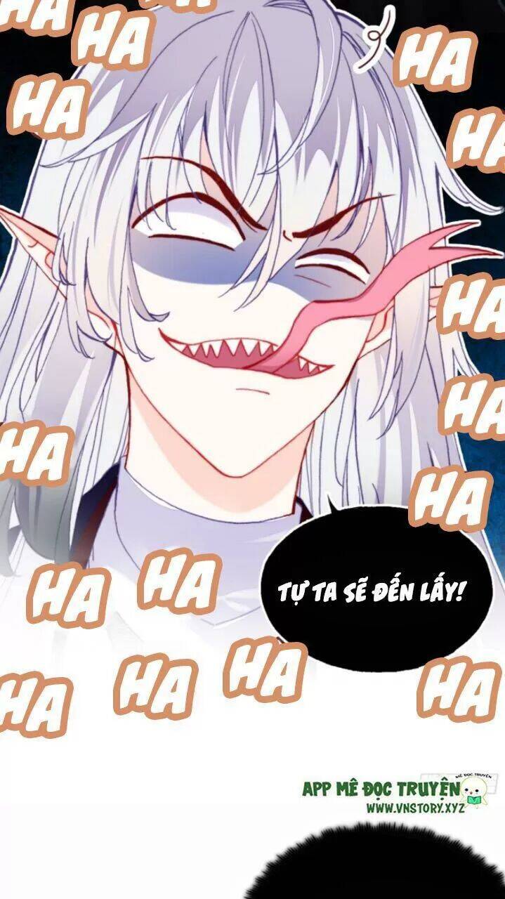 Lại Bị Bệnh Chiều Chuộng Quấn Lấy Chapter 28 - Trang 2