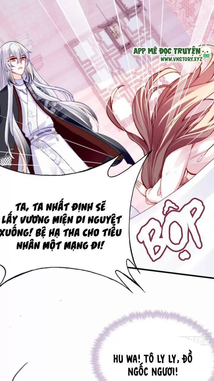 Lại Bị Bệnh Chiều Chuộng Quấn Lấy Chapter 28 - Trang 2