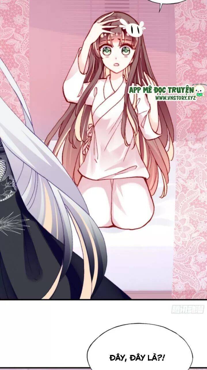 Lại Bị Bệnh Chiều Chuộng Quấn Lấy Chapter 28 - Trang 2