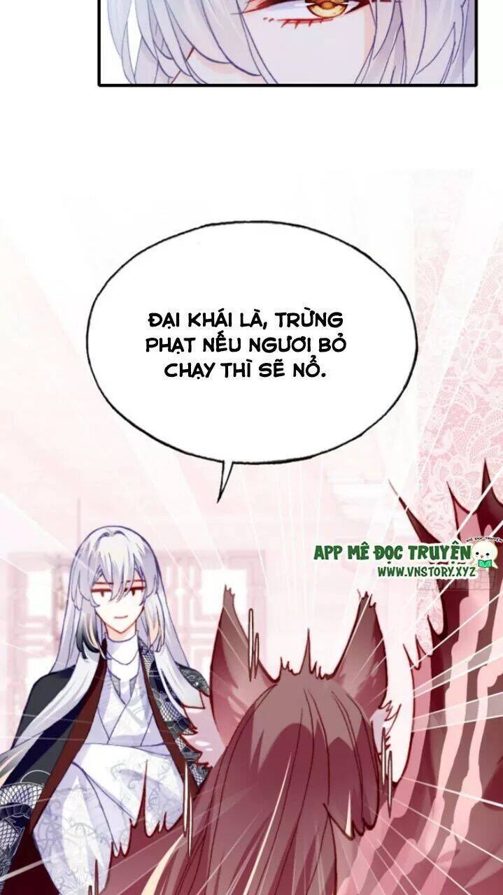 Lại Bị Bệnh Chiều Chuộng Quấn Lấy Chapter 28 - Trang 2