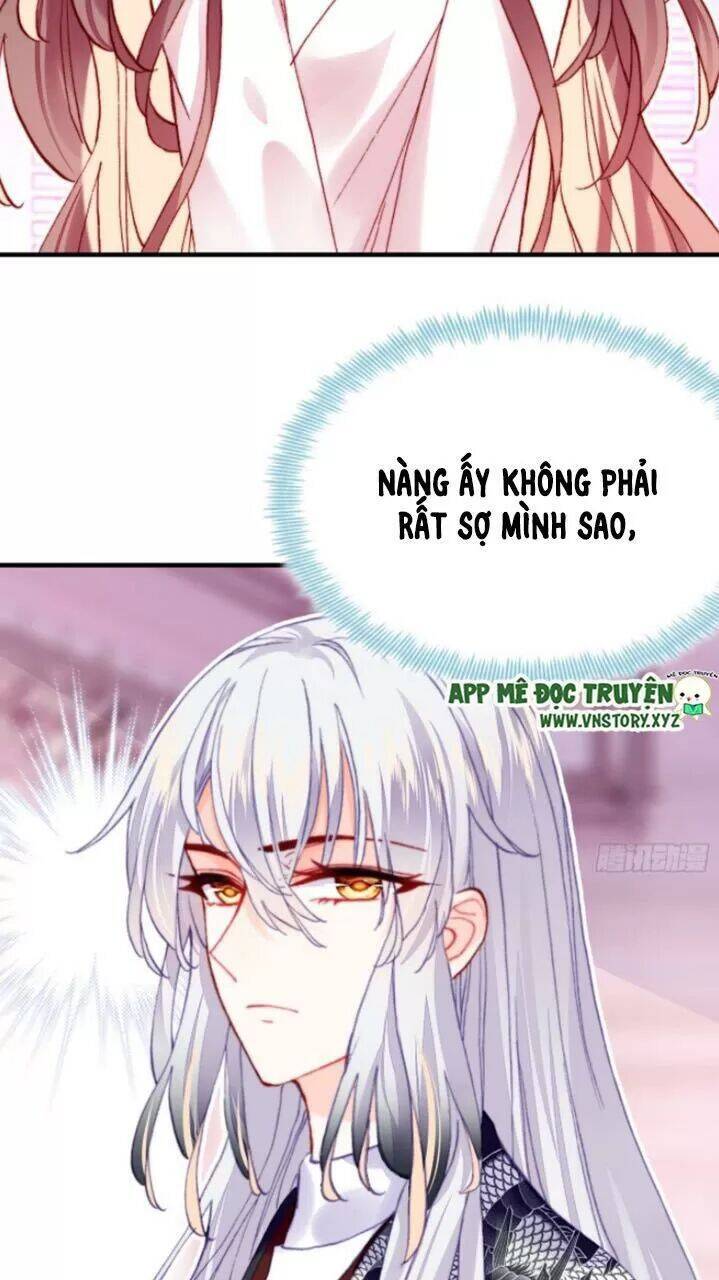 Lại Bị Bệnh Chiều Chuộng Quấn Lấy Chapter 28 - Trang 2