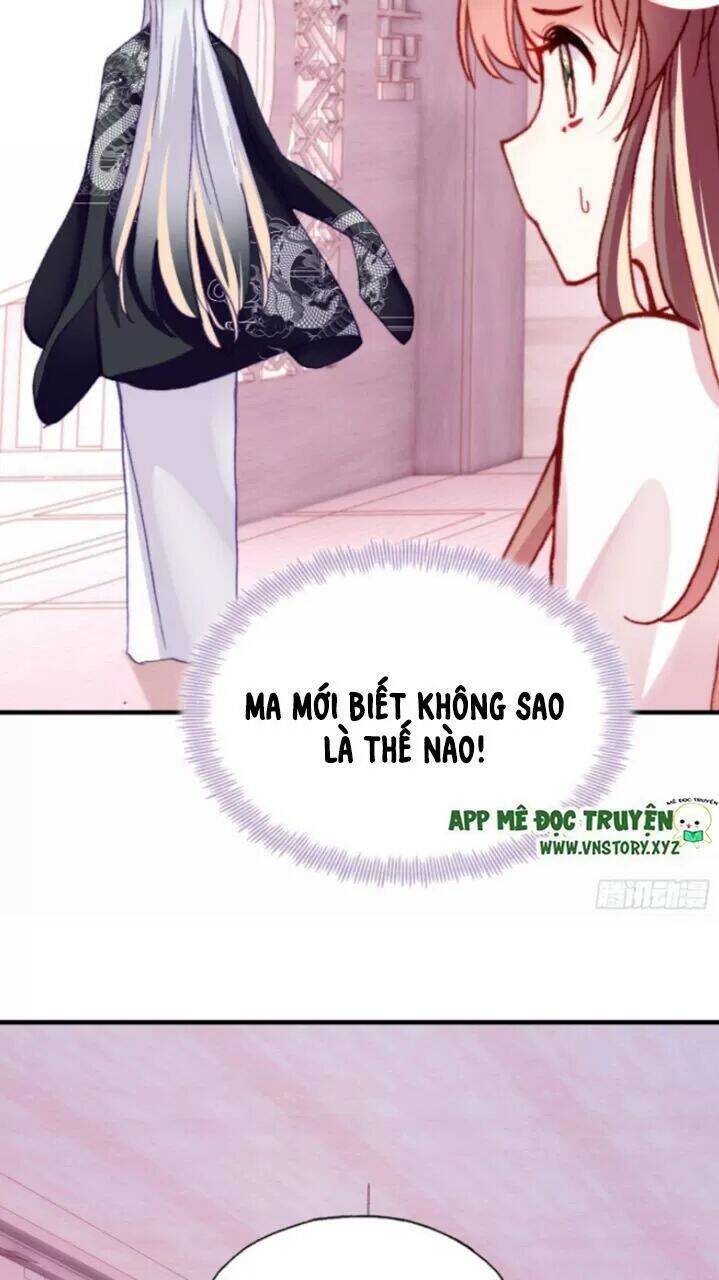 Lại Bị Bệnh Chiều Chuộng Quấn Lấy Chapter 28 - Trang 2