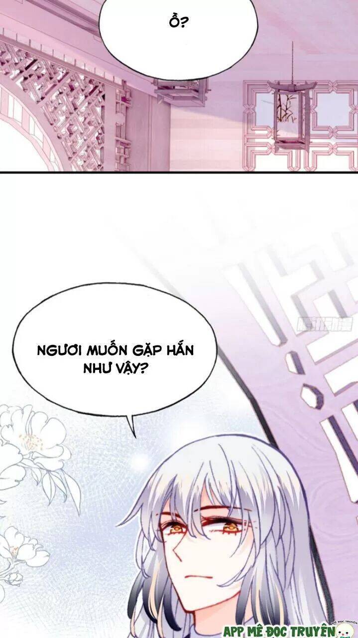 Lại Bị Bệnh Chiều Chuộng Quấn Lấy Chapter 28 - Trang 2