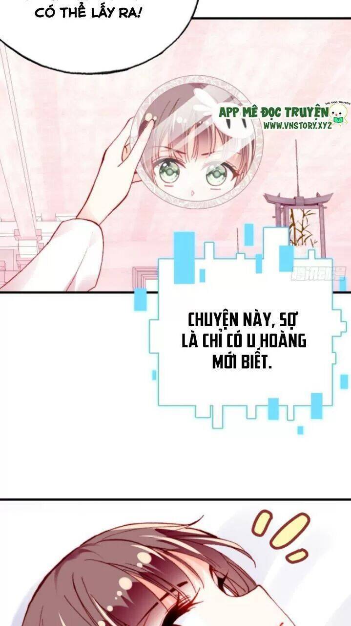 Lại Bị Bệnh Chiều Chuộng Quấn Lấy Chapter 28 - Trang 2