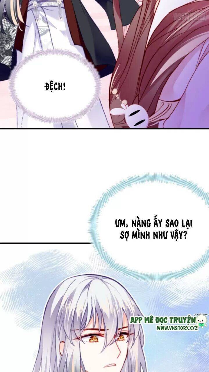 Lại Bị Bệnh Chiều Chuộng Quấn Lấy Chapter 28 - Trang 2