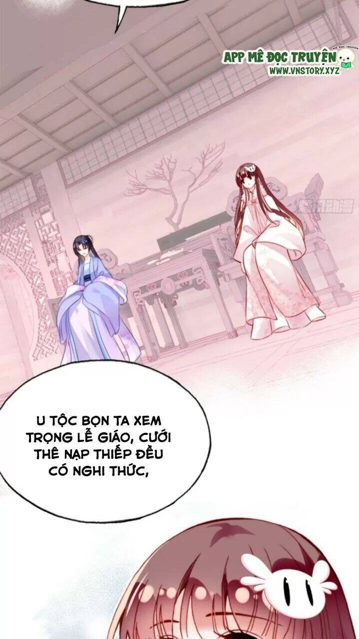 Lại Bị Bệnh Chiều Chuộng Quấn Lấy Chapter 29 - Trang 2