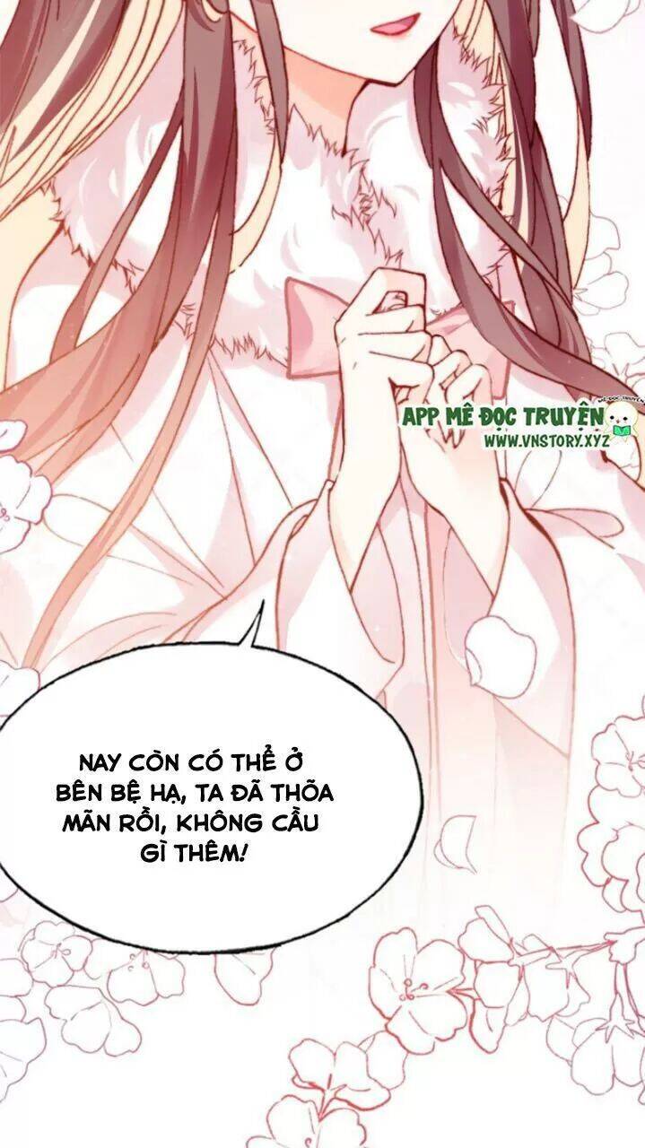 Lại Bị Bệnh Chiều Chuộng Quấn Lấy Chapter 29 - Trang 2