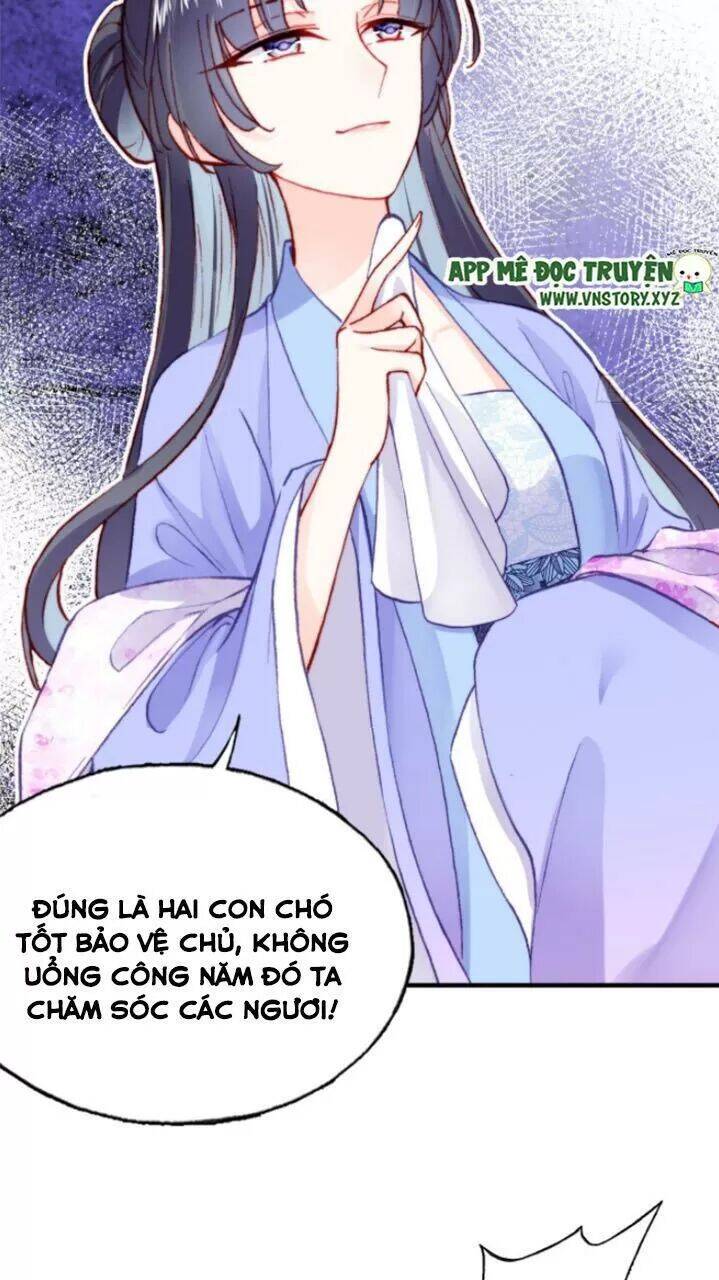 Lại Bị Bệnh Chiều Chuộng Quấn Lấy Chapter 29 - Trang 2