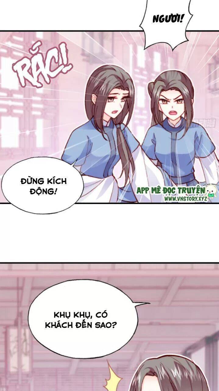 Lại Bị Bệnh Chiều Chuộng Quấn Lấy Chapter 29 - Trang 2