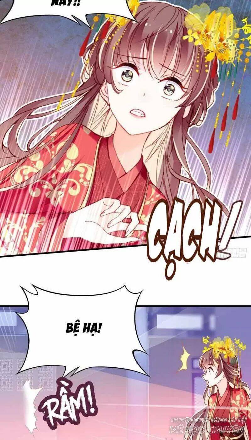 Lại Bị Bệnh Chiều Chuộng Quấn Lấy Chapter 3 - Trang 2