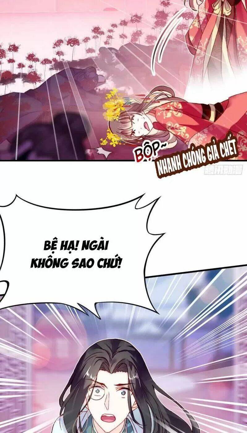 Lại Bị Bệnh Chiều Chuộng Quấn Lấy Chapter 3 - Trang 2