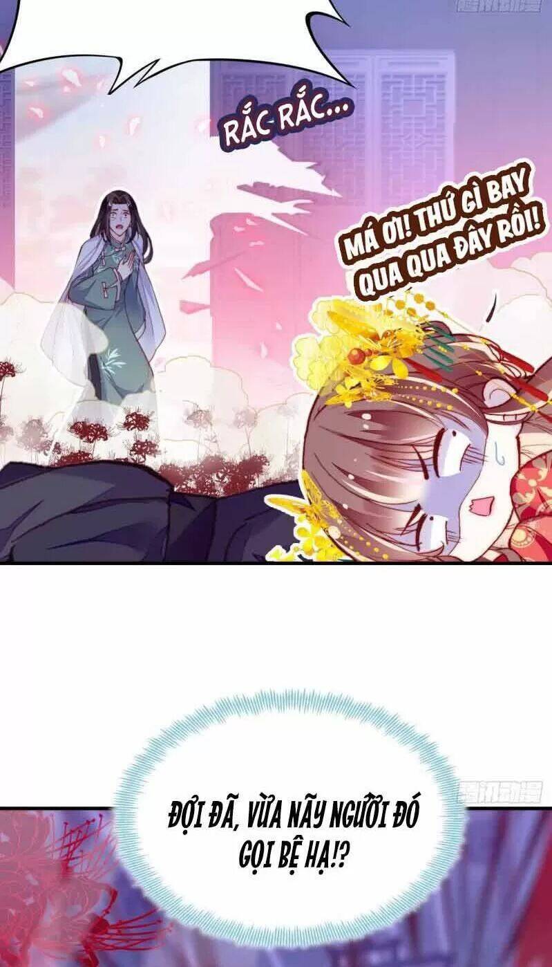 Lại Bị Bệnh Chiều Chuộng Quấn Lấy Chapter 3 - Trang 2