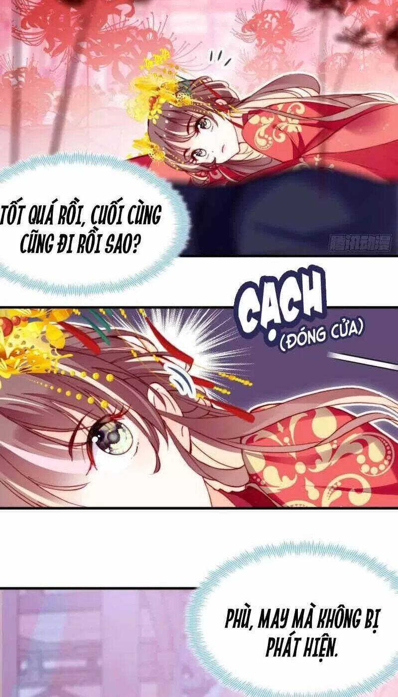 Lại Bị Bệnh Chiều Chuộng Quấn Lấy Chapter 3 - Trang 2