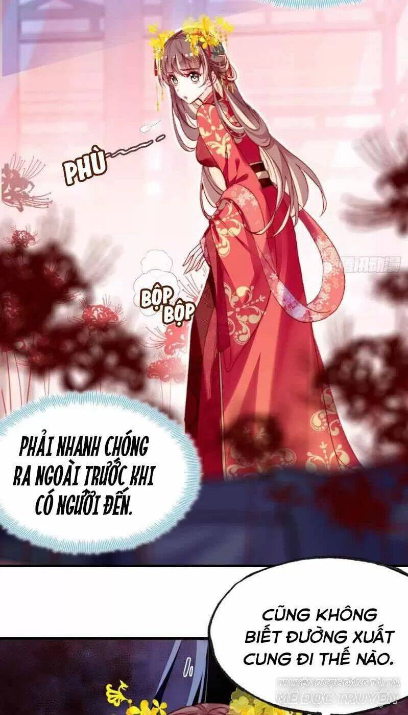 Lại Bị Bệnh Chiều Chuộng Quấn Lấy Chapter 3 - Trang 2