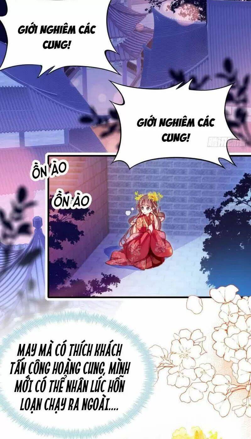 Lại Bị Bệnh Chiều Chuộng Quấn Lấy Chapter 3 - Trang 2