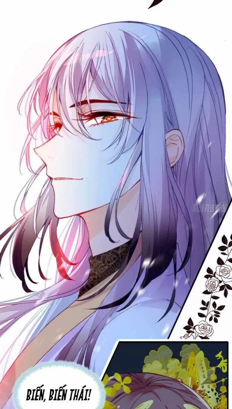 Lại Bị Bệnh Chiều Chuộng Quấn Lấy Chapter 3 - Trang 2