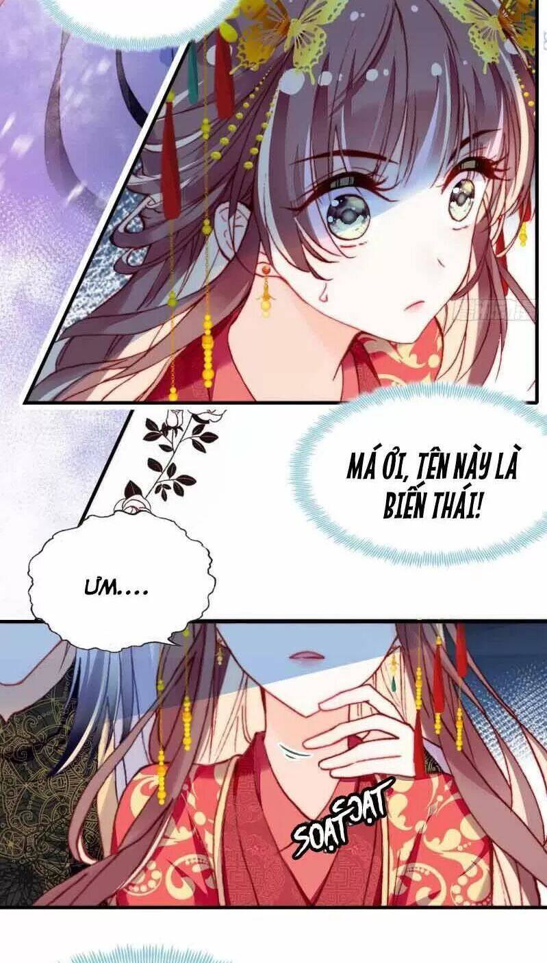 Lại Bị Bệnh Chiều Chuộng Quấn Lấy Chapter 3 - Trang 2