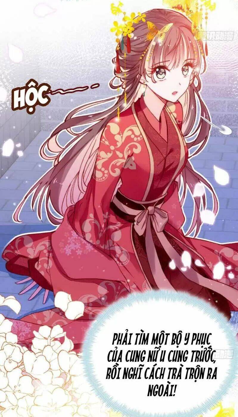 Lại Bị Bệnh Chiều Chuộng Quấn Lấy Chapter 3 - Trang 2