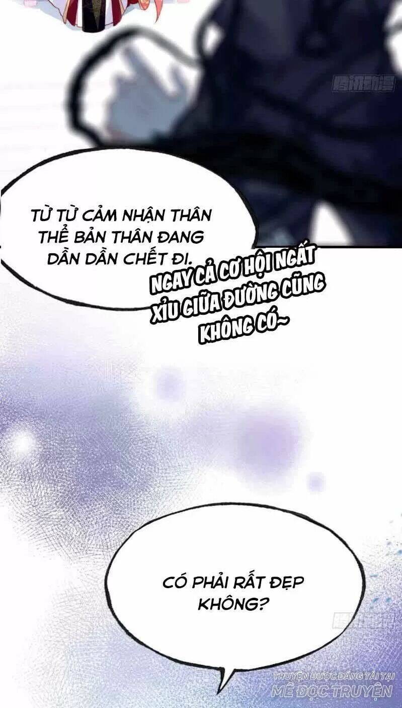 Lại Bị Bệnh Chiều Chuộng Quấn Lấy Chapter 3 - Trang 2