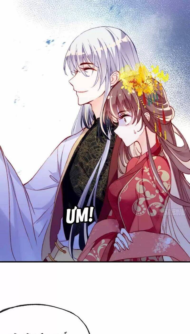 Lại Bị Bệnh Chiều Chuộng Quấn Lấy Chapter 3 - Trang 2