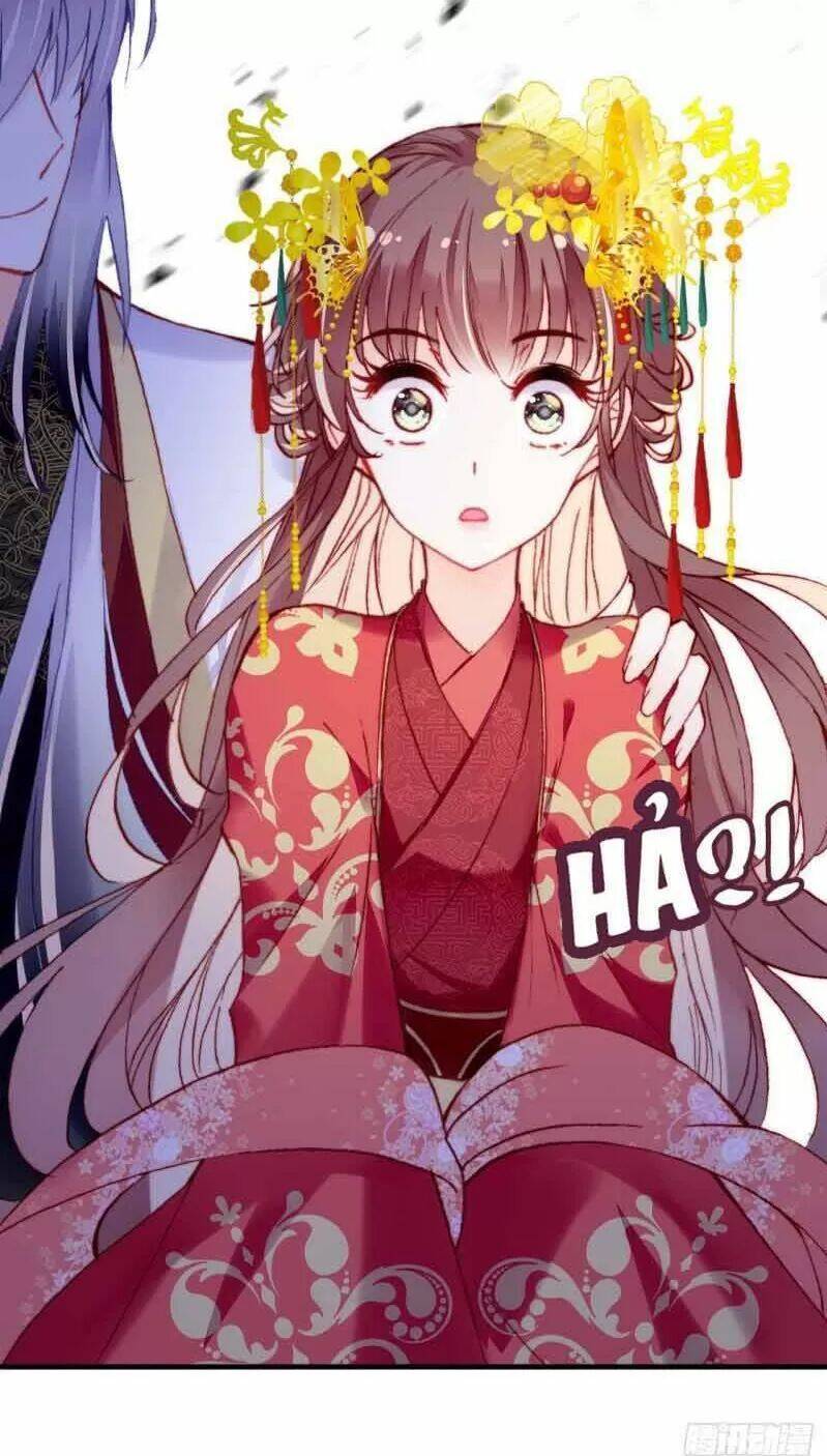 Lại Bị Bệnh Chiều Chuộng Quấn Lấy Chapter 3 - Trang 2