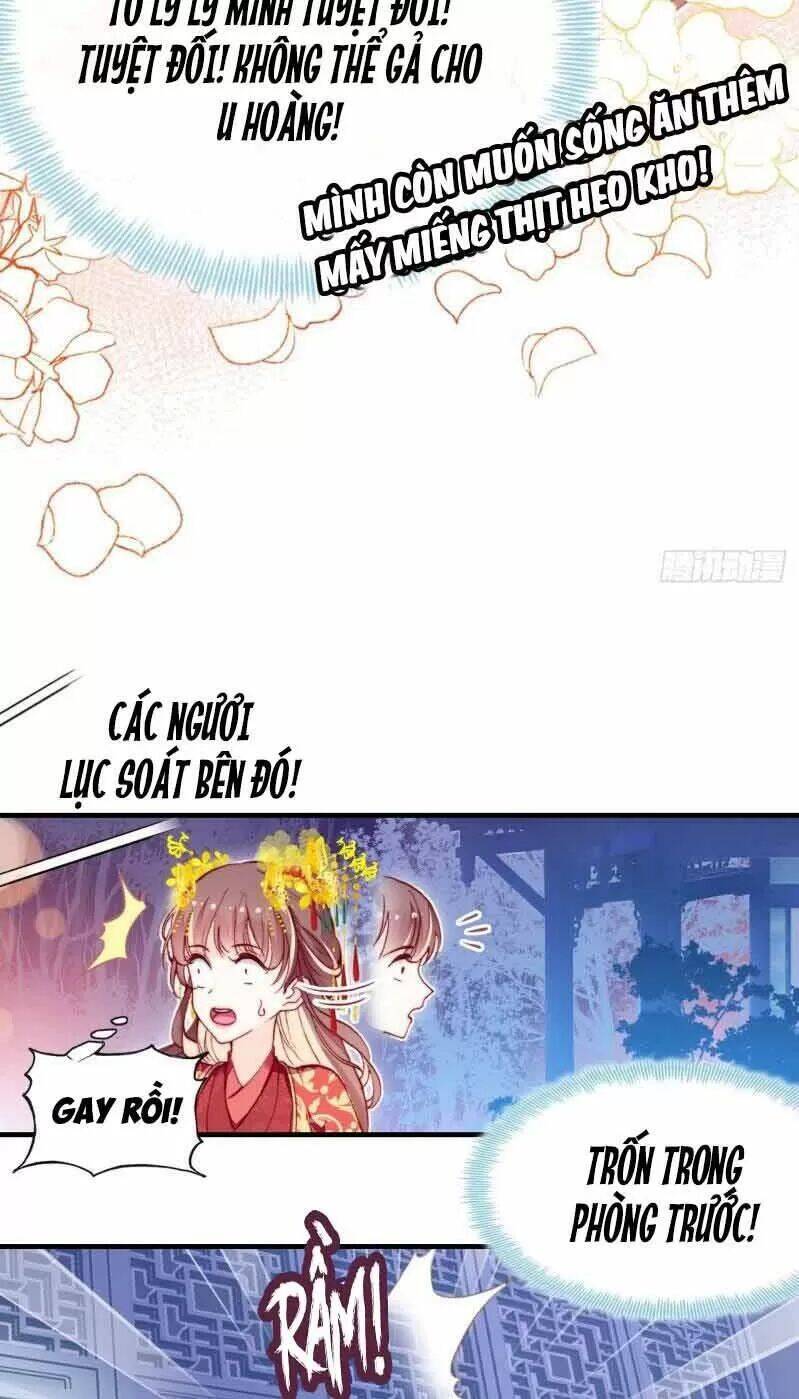 Lại Bị Bệnh Chiều Chuộng Quấn Lấy Chapter 3 - Trang 2