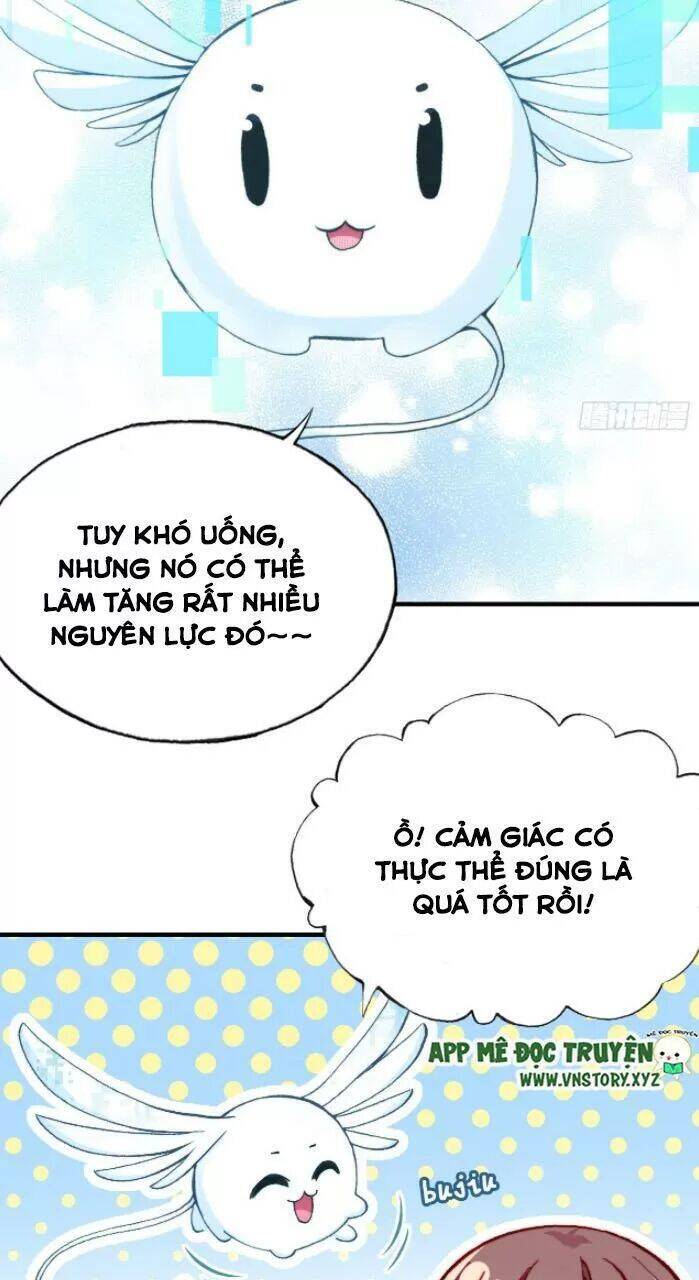 Lại Bị Bệnh Chiều Chuộng Quấn Lấy Chapter 31 - Trang 2