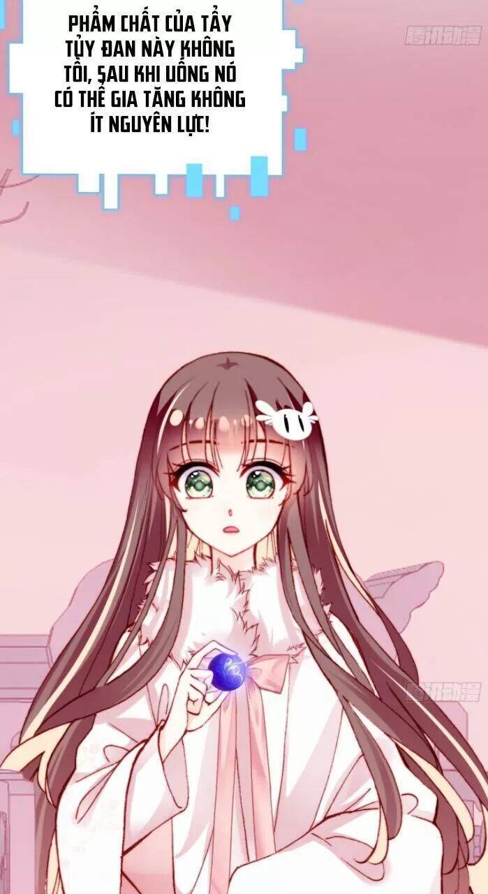 Lại Bị Bệnh Chiều Chuộng Quấn Lấy Chapter 31 - Trang 2