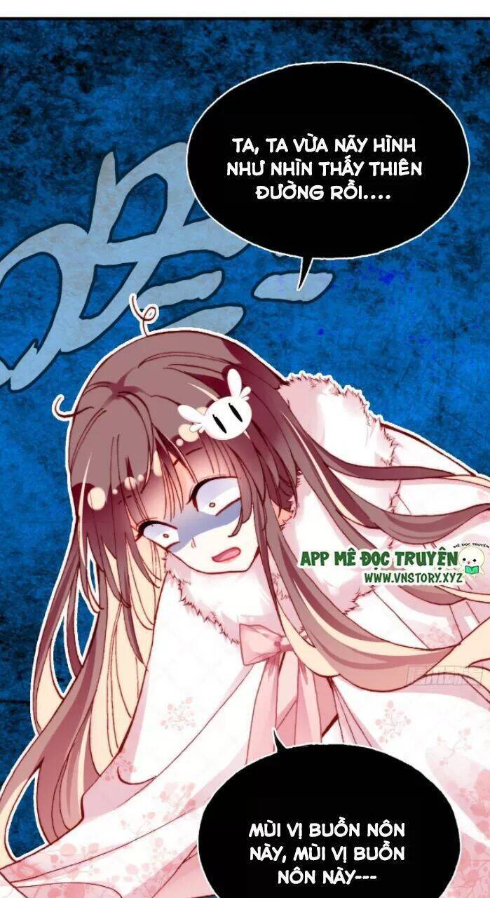 Lại Bị Bệnh Chiều Chuộng Quấn Lấy Chapter 31 - Trang 2