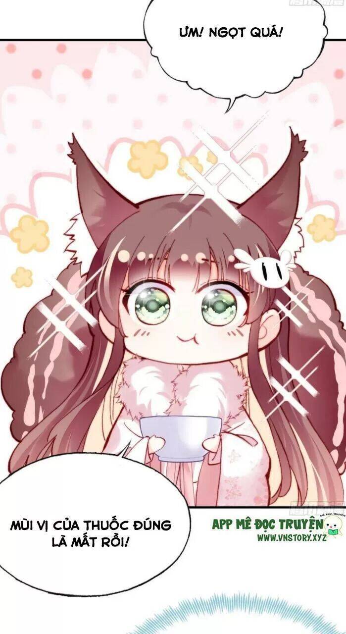 Lại Bị Bệnh Chiều Chuộng Quấn Lấy Chapter 33 - Trang 2