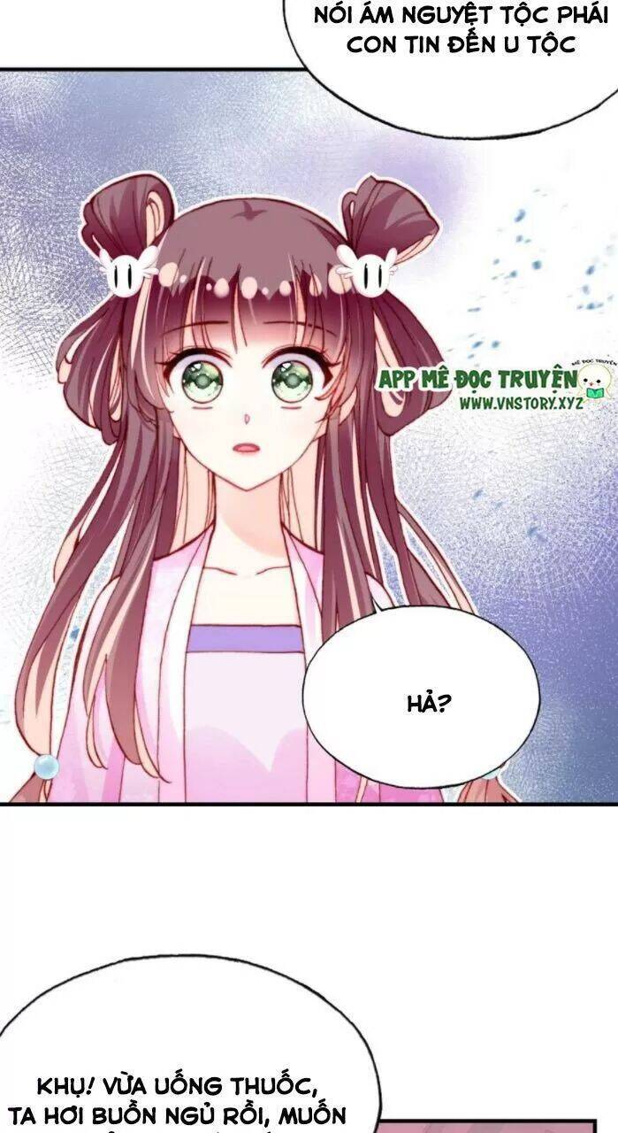 Lại Bị Bệnh Chiều Chuộng Quấn Lấy Chapter 33 - Trang 2