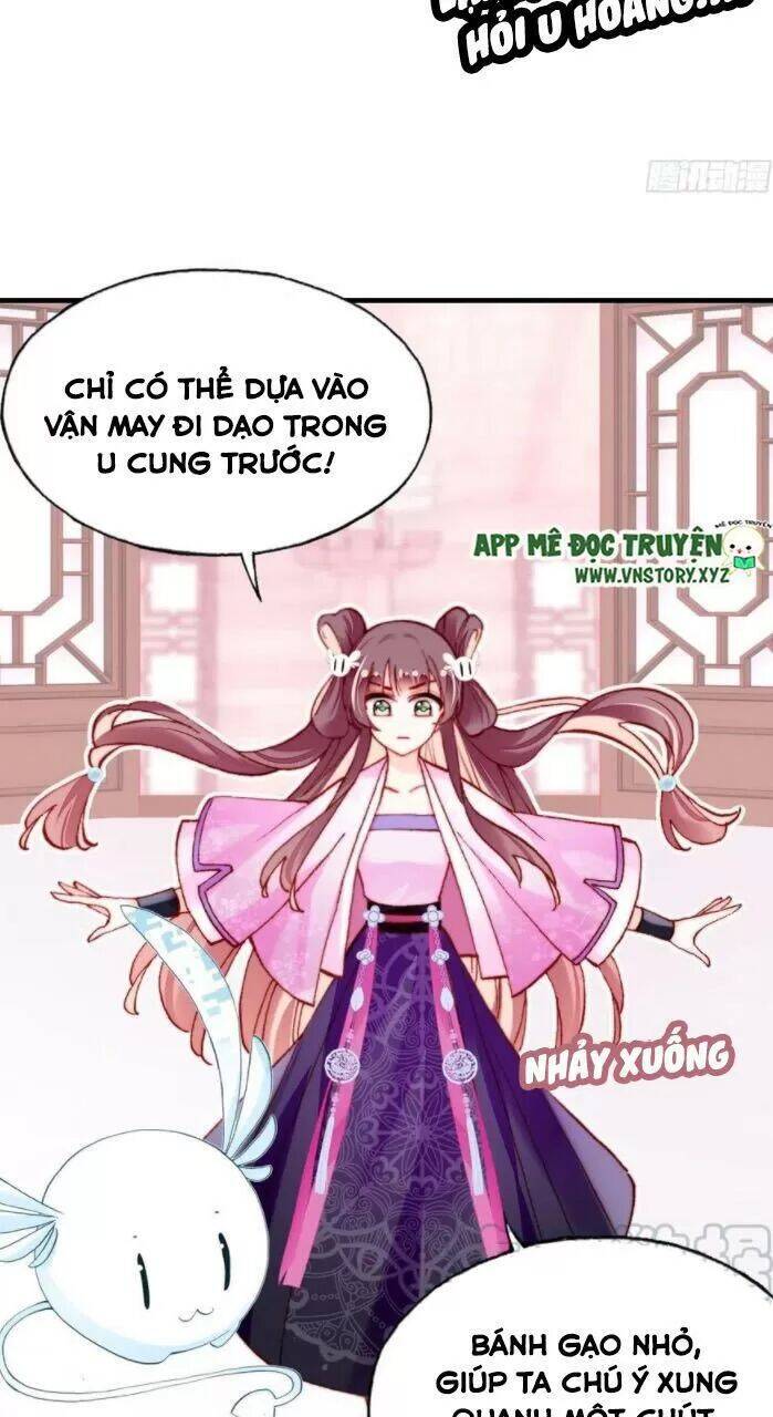 Lại Bị Bệnh Chiều Chuộng Quấn Lấy Chapter 33 - Trang 2
