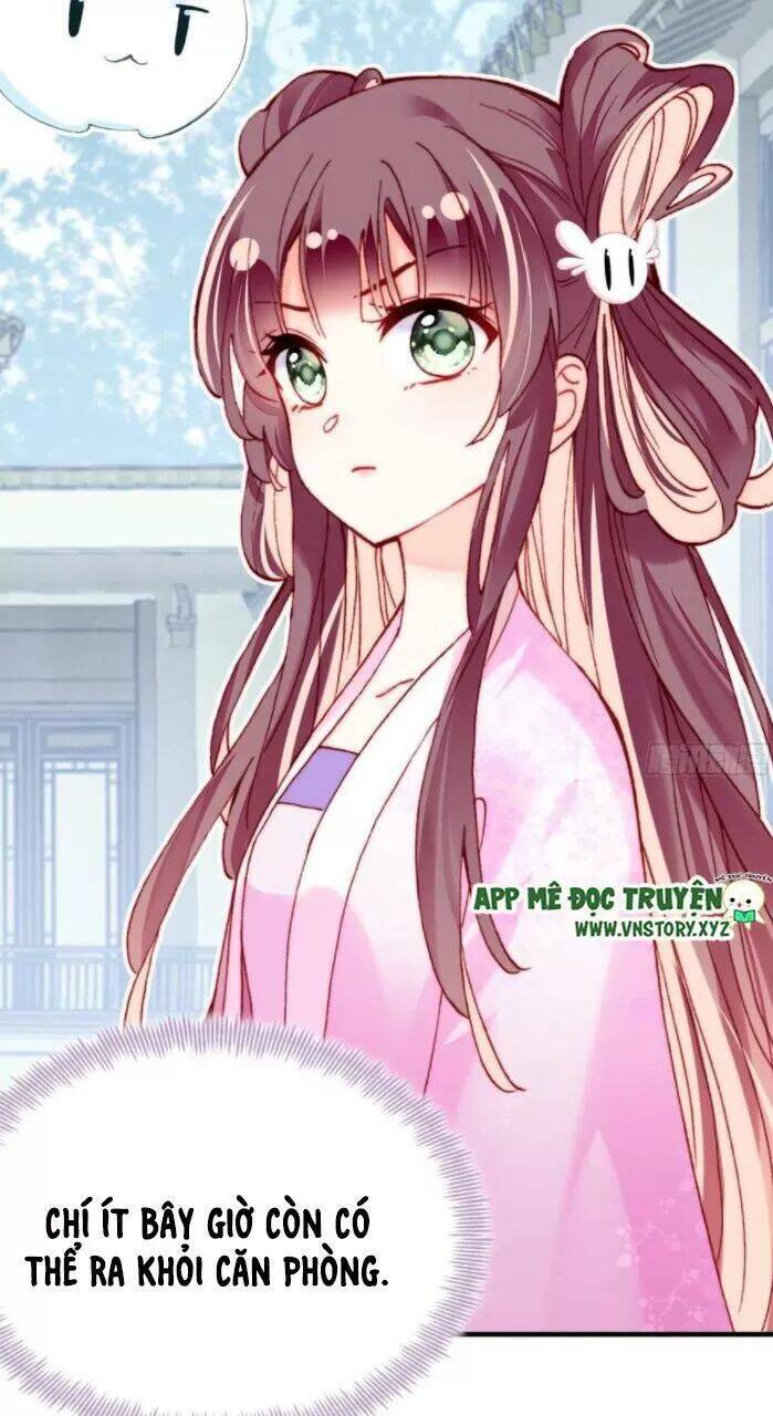 Lại Bị Bệnh Chiều Chuộng Quấn Lấy Chapter 33 - Trang 2