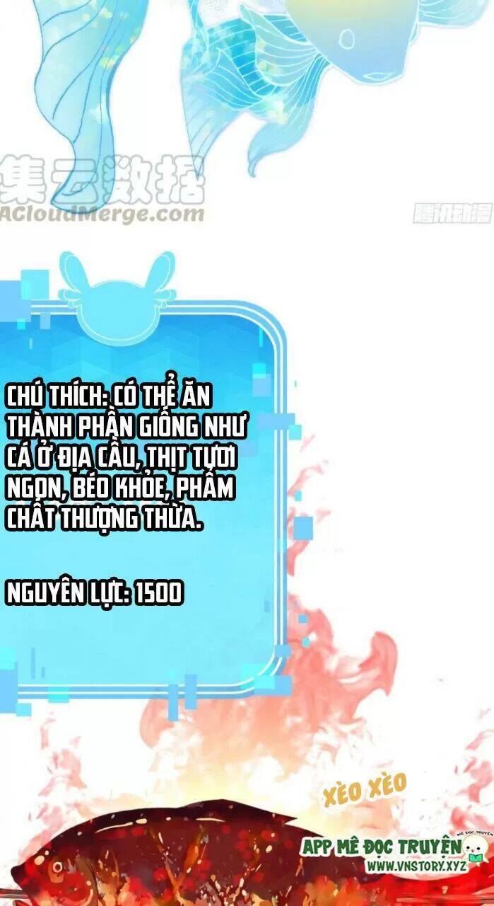 Lại Bị Bệnh Chiều Chuộng Quấn Lấy Chapter 33 - Trang 2