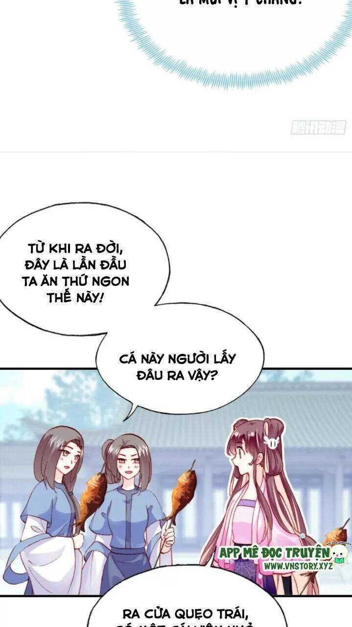 Lại Bị Bệnh Chiều Chuộng Quấn Lấy Chapter 34 - Trang 2