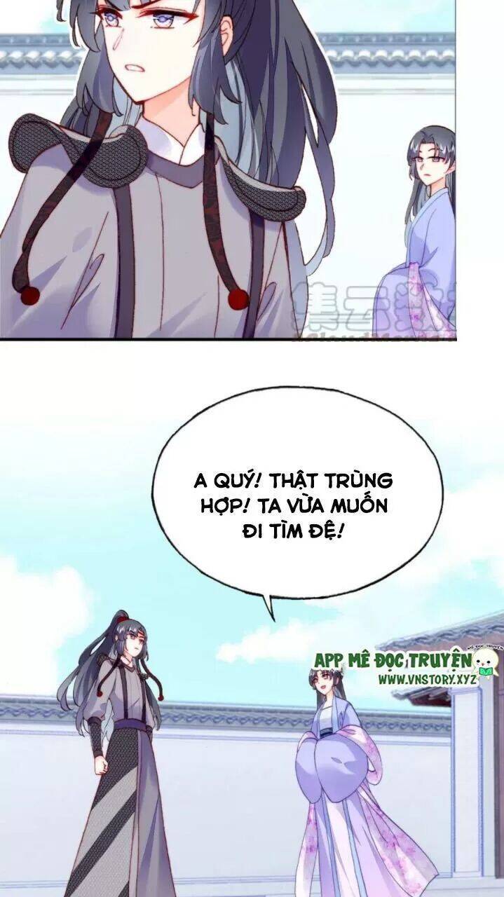 Lại Bị Bệnh Chiều Chuộng Quấn Lấy Chapter 34 - Trang 2