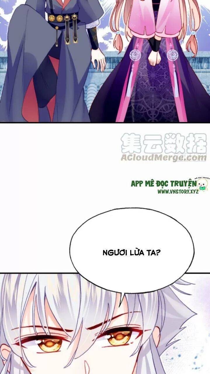 Lại Bị Bệnh Chiều Chuộng Quấn Lấy Chapter 35 - Trang 2