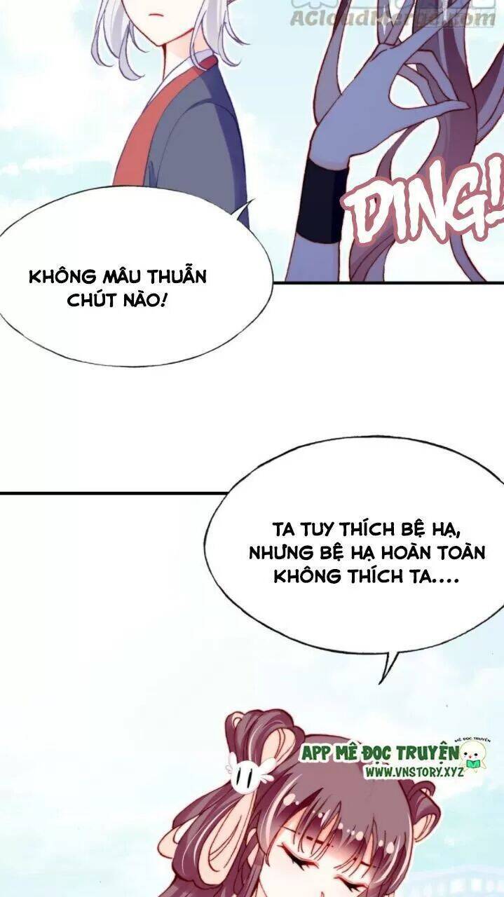 Lại Bị Bệnh Chiều Chuộng Quấn Lấy Chapter 35 - Trang 2