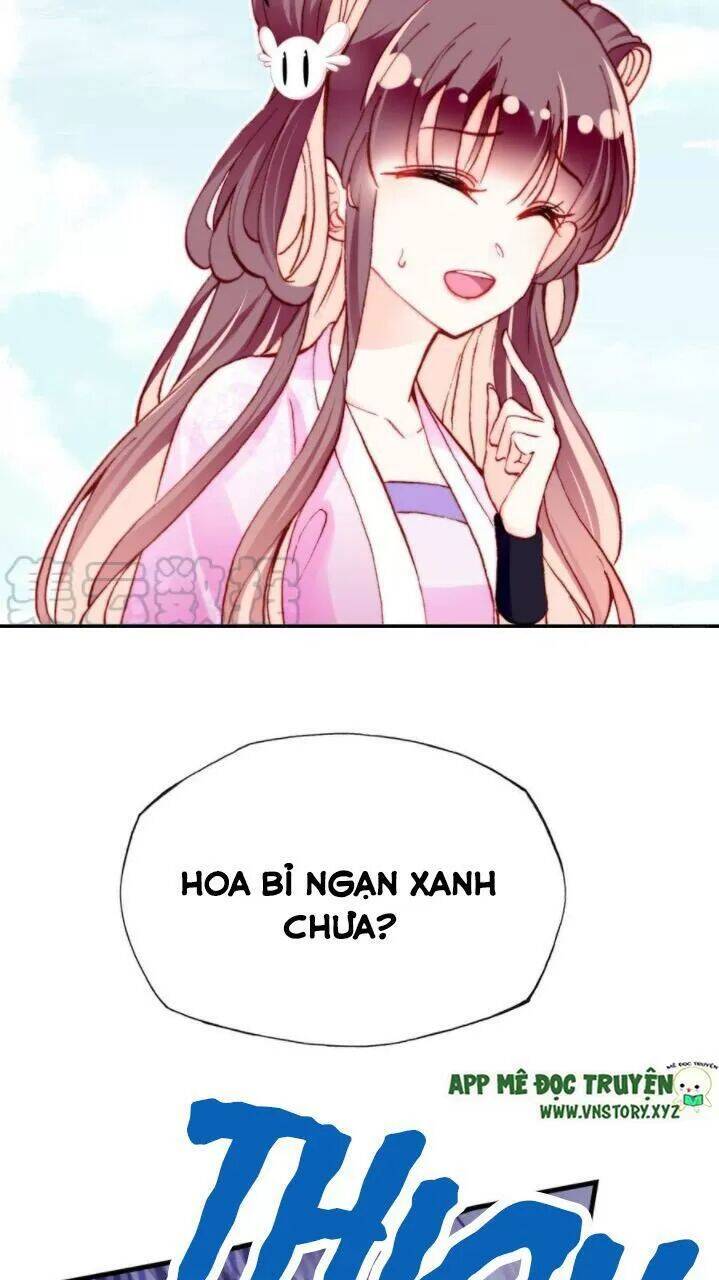 Lại Bị Bệnh Chiều Chuộng Quấn Lấy Chapter 35 - Trang 2