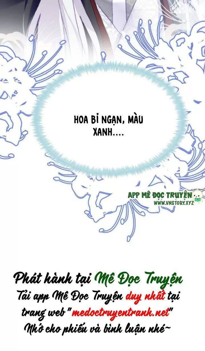 Lại Bị Bệnh Chiều Chuộng Quấn Lấy Chapter 35 - Trang 2