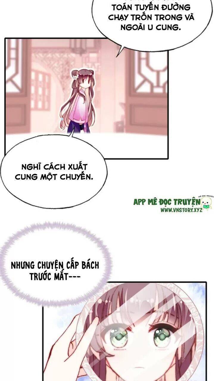 Lại Bị Bệnh Chiều Chuộng Quấn Lấy Chapter 36 - Trang 2