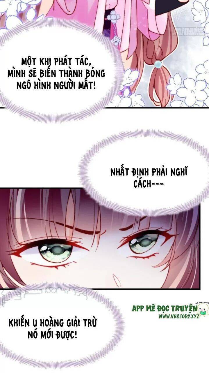 Lại Bị Bệnh Chiều Chuộng Quấn Lấy Chapter 36 - Trang 2