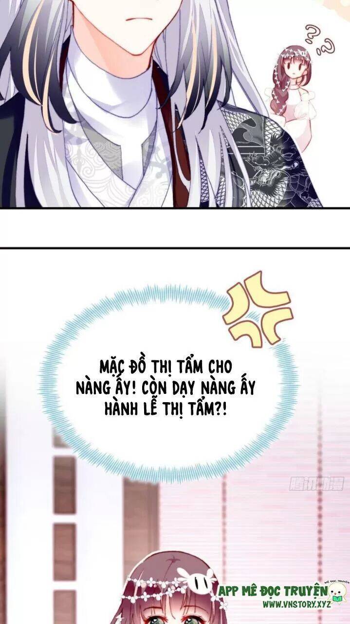 Lại Bị Bệnh Chiều Chuộng Quấn Lấy Chapter 36 - Trang 2