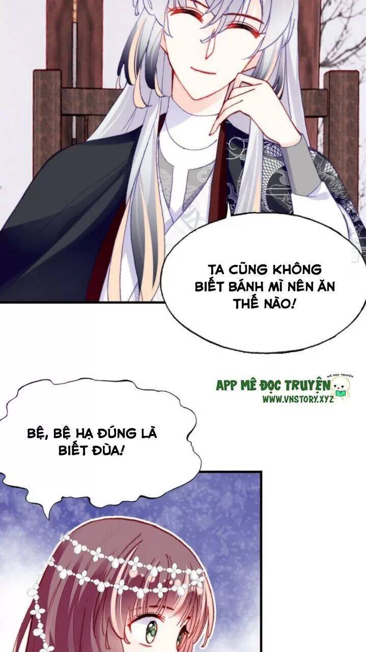 Lại Bị Bệnh Chiều Chuộng Quấn Lấy Chapter 36 - Trang 2