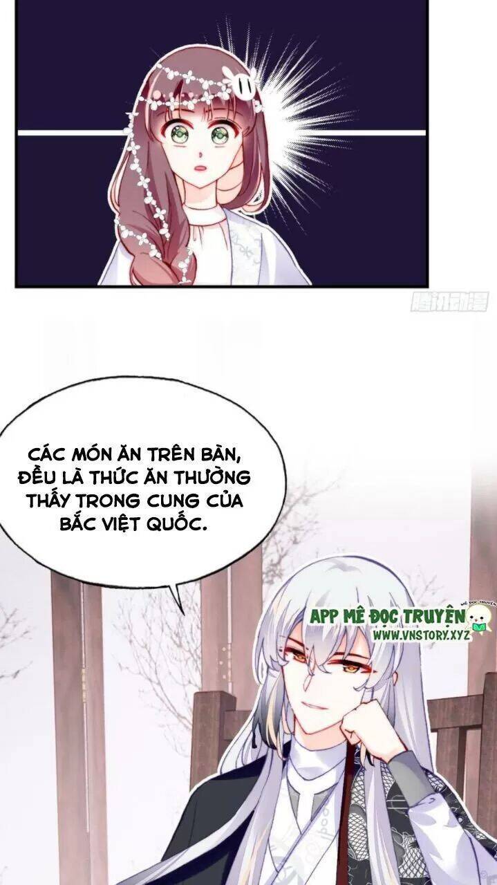 Lại Bị Bệnh Chiều Chuộng Quấn Lấy Chapter 36 - Trang 2