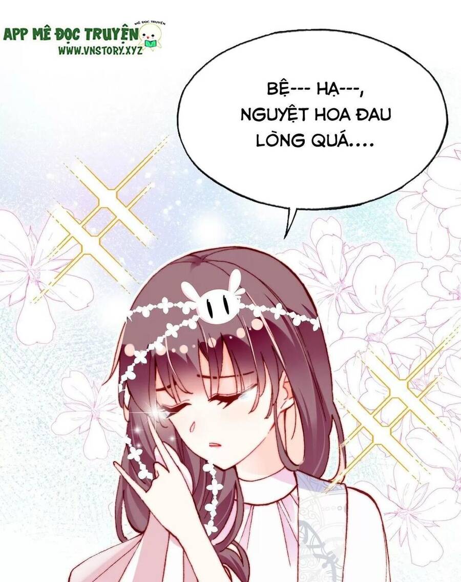 Lại Bị Bệnh Chiều Chuộng Quấn Lấy Chapter 37 - Trang 2