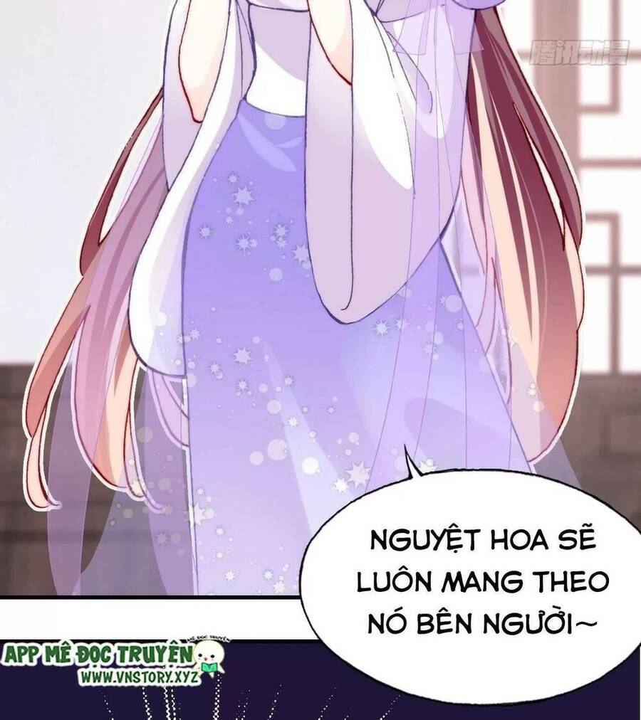 Lại Bị Bệnh Chiều Chuộng Quấn Lấy Chapter 38 - Trang 2