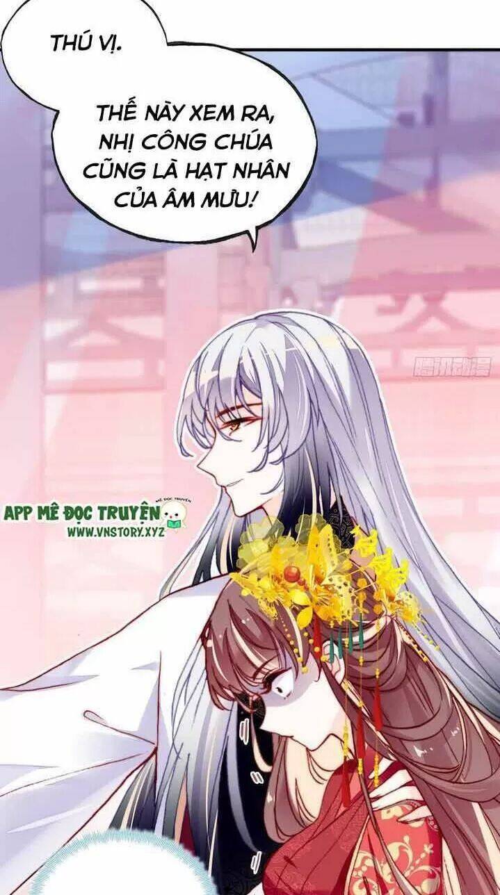 Lại Bị Bệnh Chiều Chuộng Quấn Lấy Chapter 4 - Trang 2