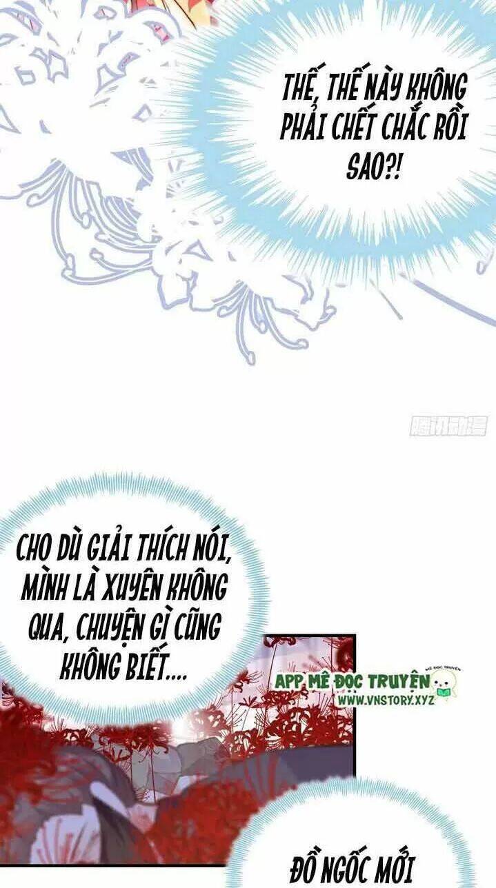 Lại Bị Bệnh Chiều Chuộng Quấn Lấy Chapter 4 - Trang 2